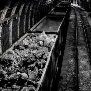 Coal