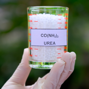 Urea